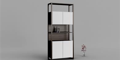 ZQ-B2001兩門書柜